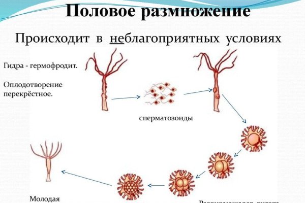 Кракен официальная ссылка зеркало