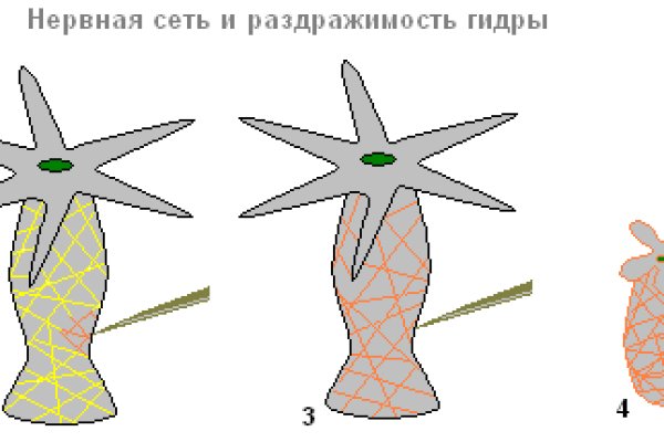 Кракен это современный даркнет