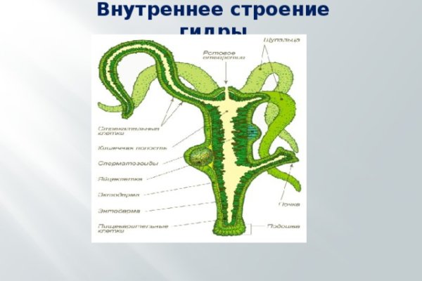 Кракен сайт в тор браузере ссылка