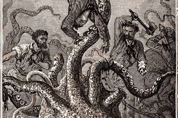 Kraken рынок