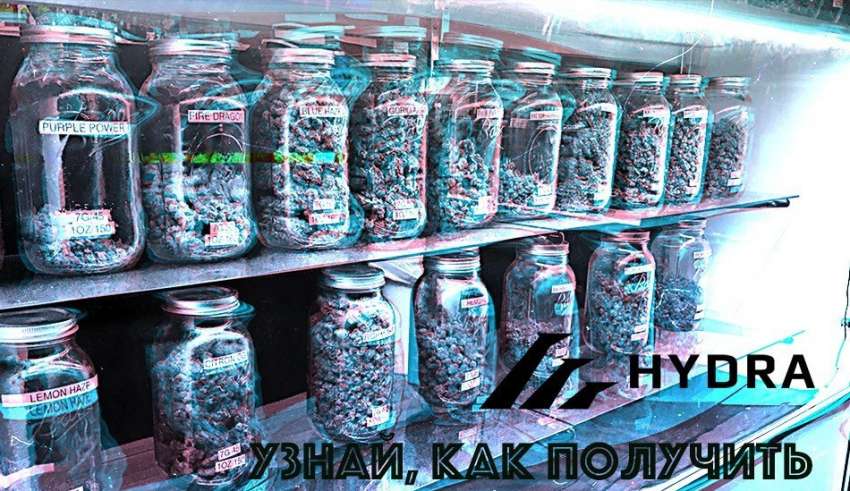 Kraken вход kraken torion